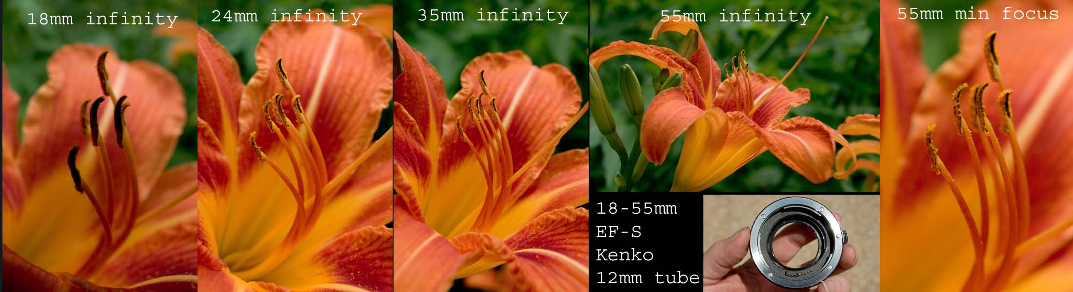 18-55mm f/3.5-5.6 EF-S with Kenko 12mm  tube