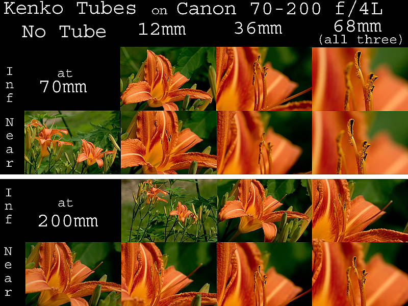 70-200mm f/4L on Kenko tubes