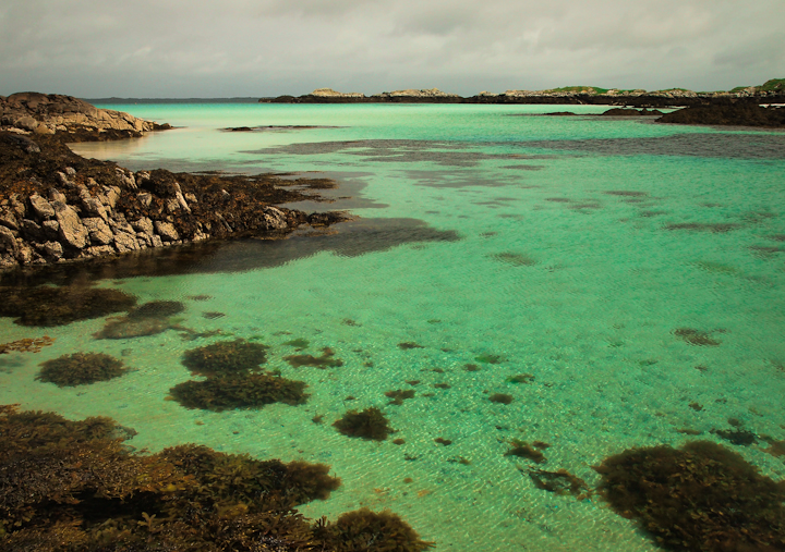 Barra
