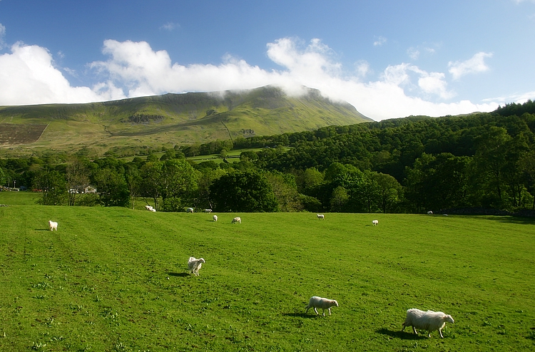 Cadair Idris