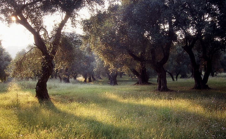 Corfu