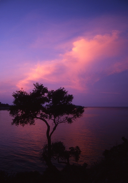 Paxos