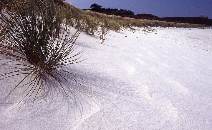 Tresco, Isles Of Scilly