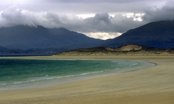 Harris