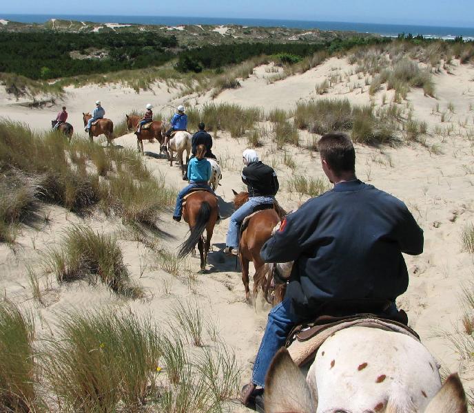 Horse Ride near the beach
