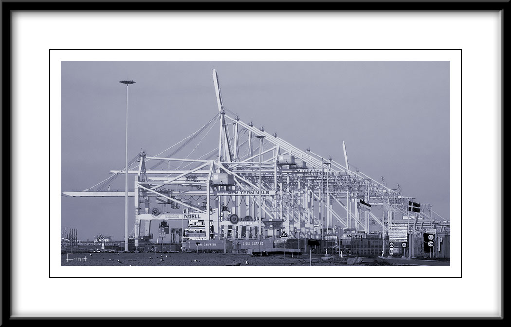Maasvlakte