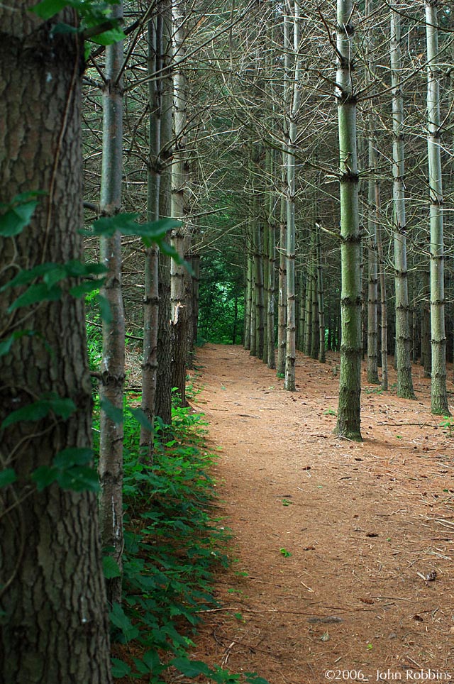 Hashawha Trail