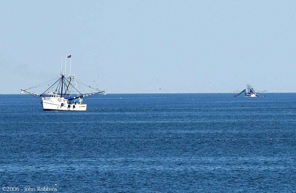 Shrimp Boats