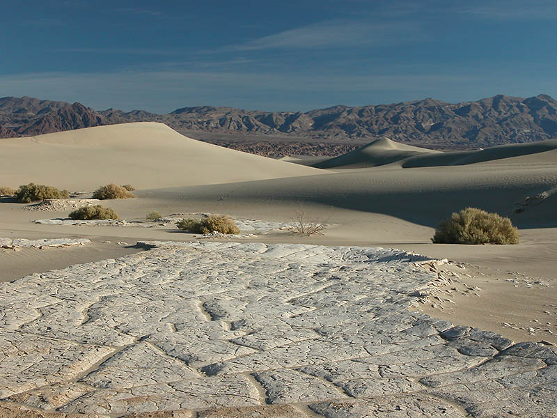 Dried Mud among the Dunes