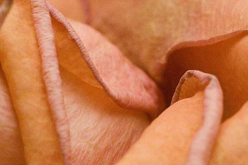 IMG_0492.jpg