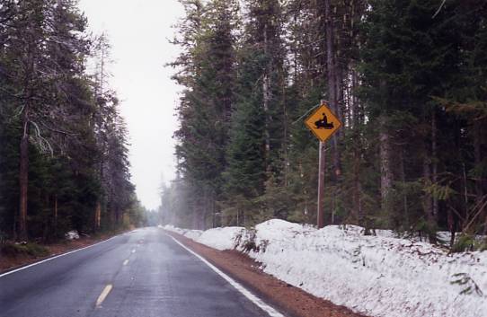 Snowmobile Unknown.jpg