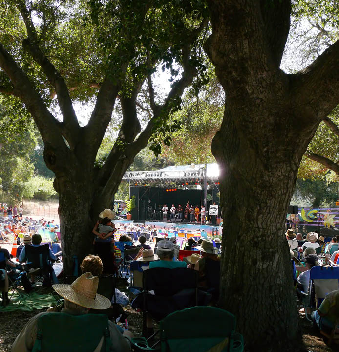 Music among the oaks