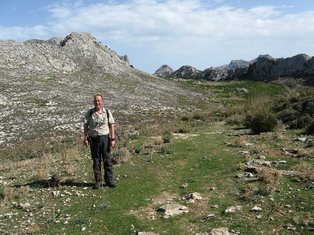 Soller