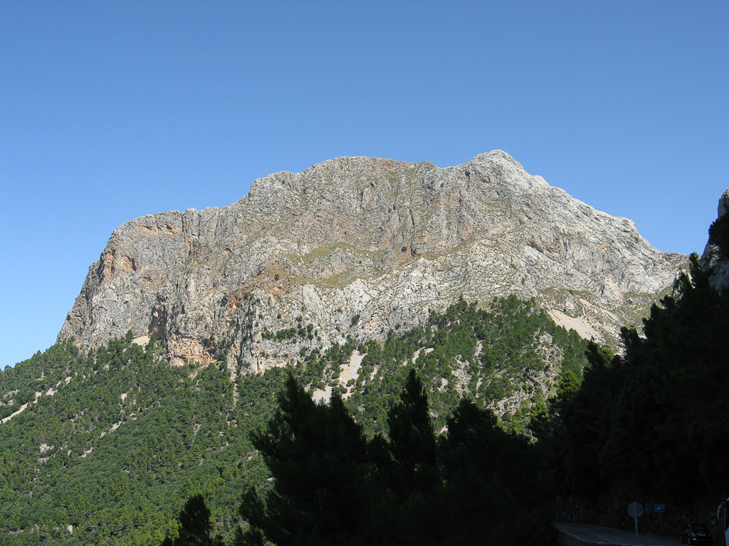 Soller