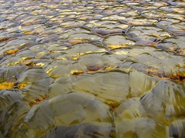 Closeup on  window glass.