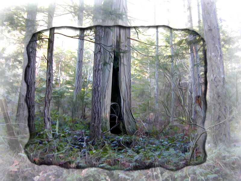 Trees with edges and wiggly from Cat