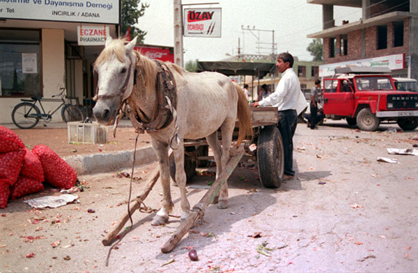Incirlik Village Turkey
