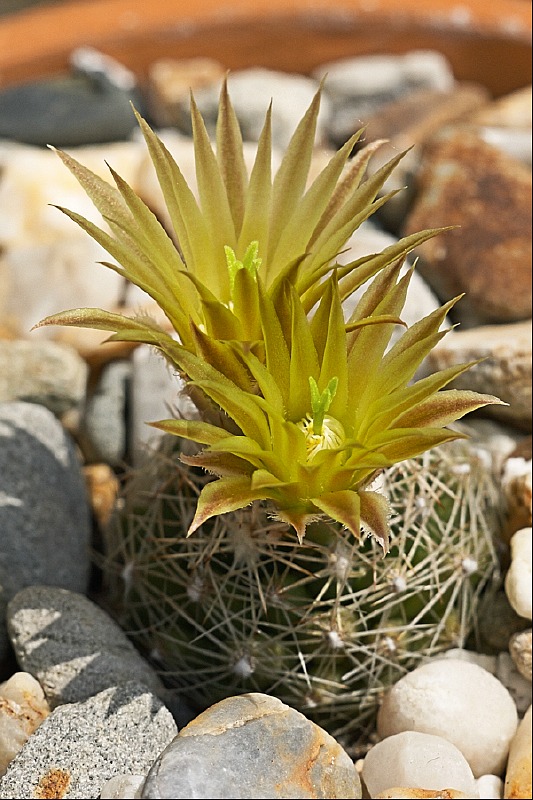 sized_CRW_9455.jpg
