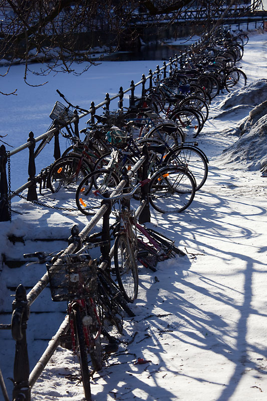 Bicycle parking