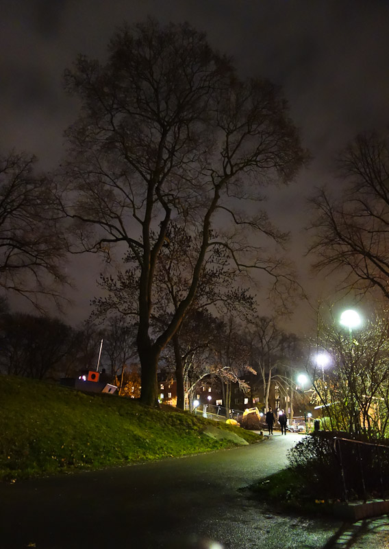 Night in the park