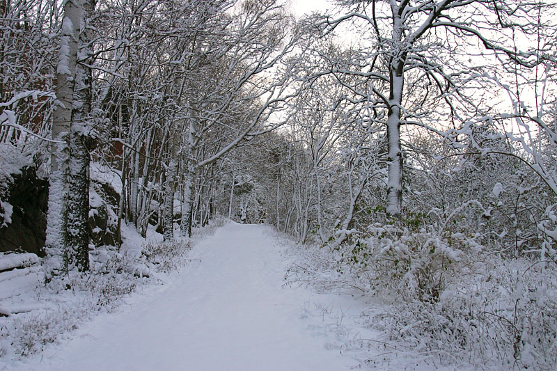 November 29: My way to work