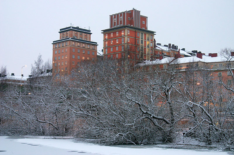 January 1: Like a castle behind the enchanted hedge