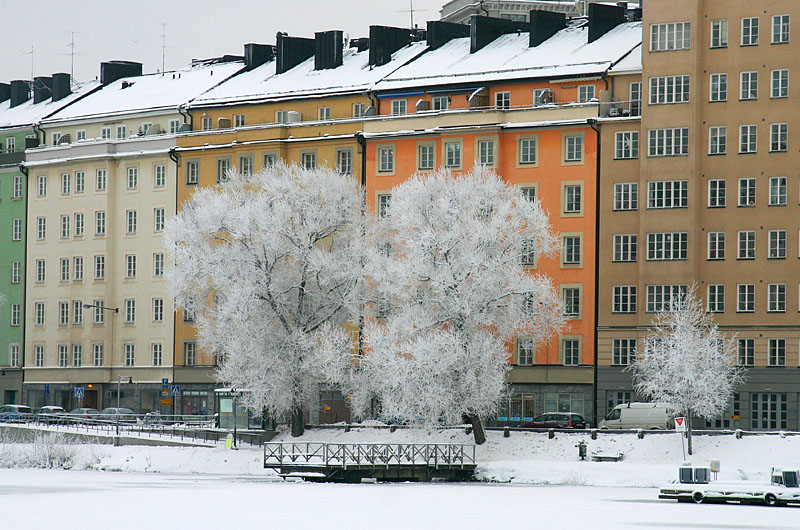 January 4: King Frost has visited Stockholm