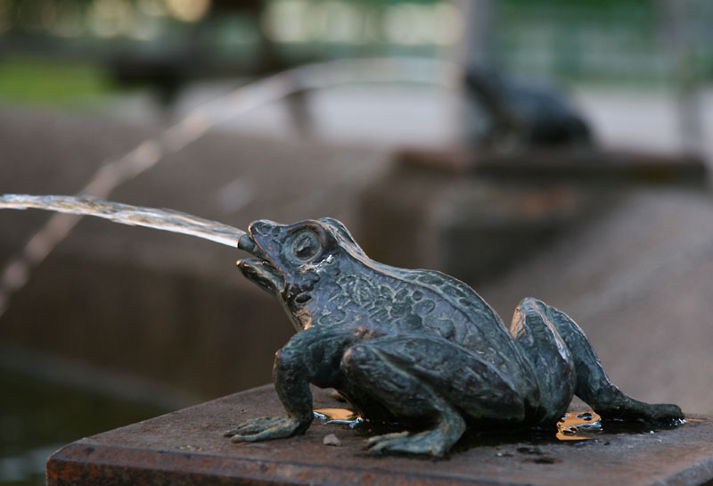 August 9: Spitting frogs