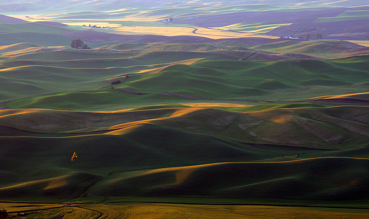 biplane over the Palouse