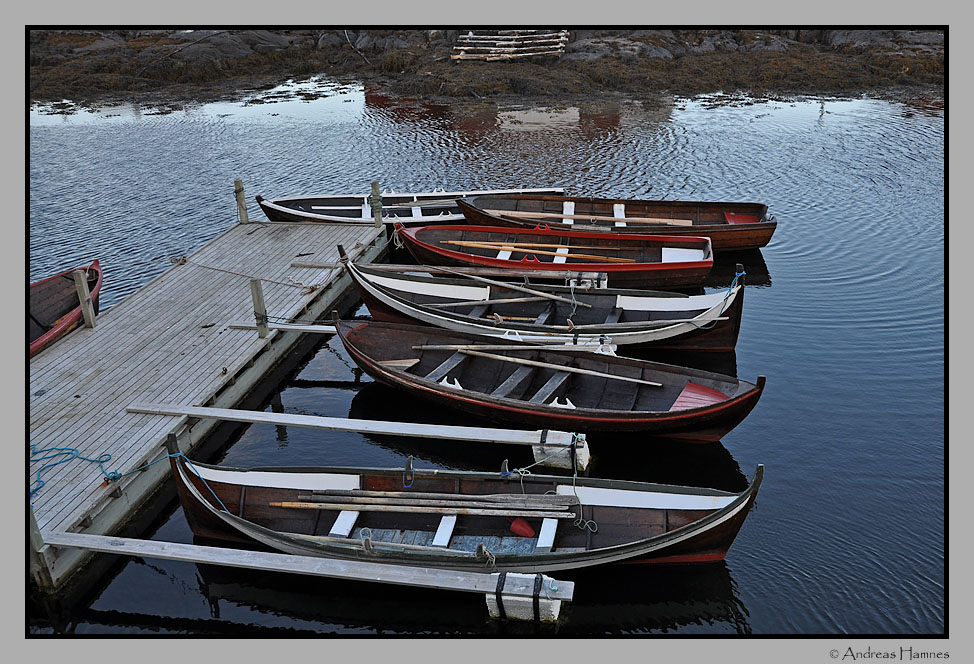 Different  sort of rowing boats