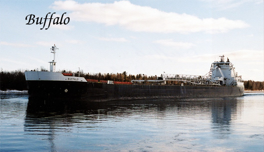 Buffalo