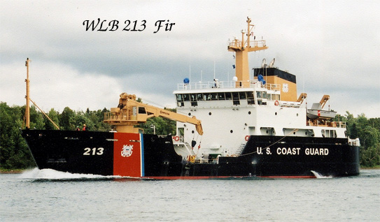 Fir