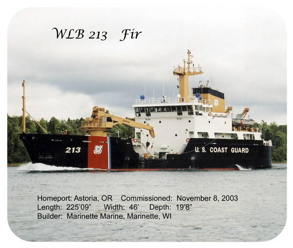 WLB 213  Fir