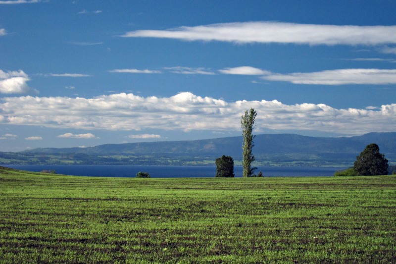 Near Lago Ranco