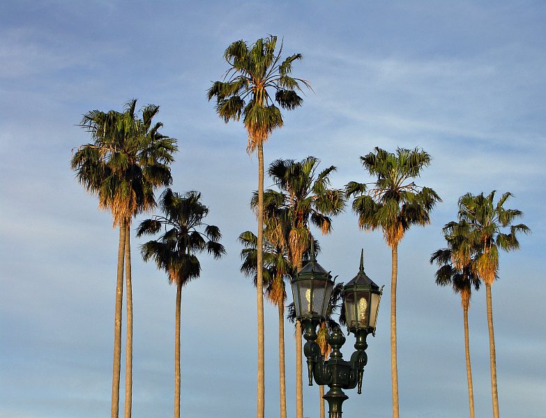 Parque 3 Febrero, Palermo