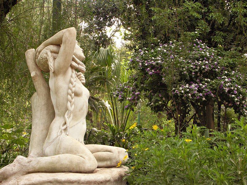 Botanic Garden, Palermo