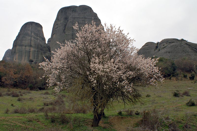 Near Kastraki