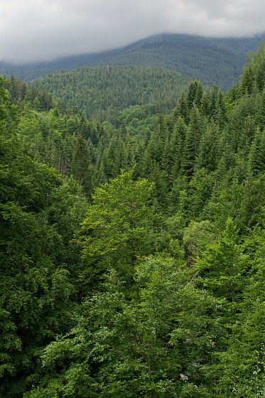 Near Dobrinishte