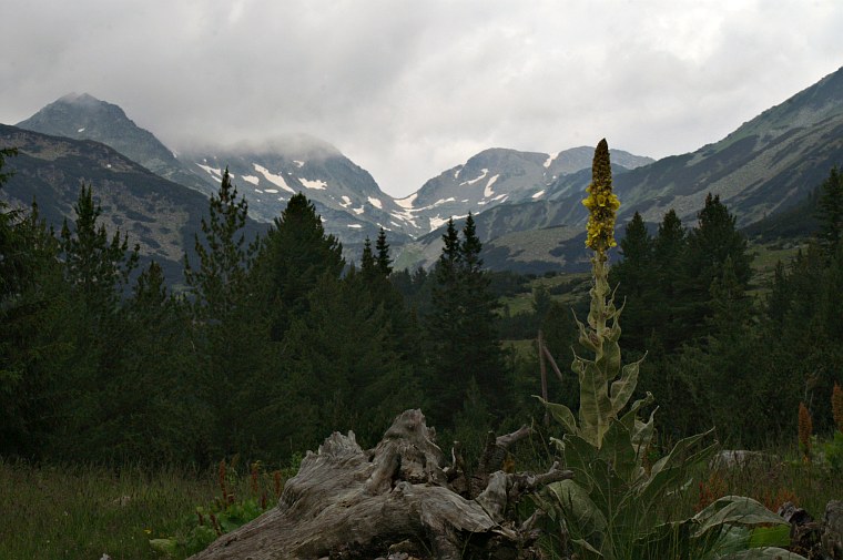 Pirin Mountains