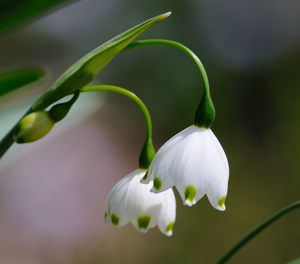 D30_1332.jpg