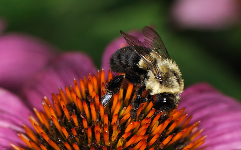 D33_0831.jpg