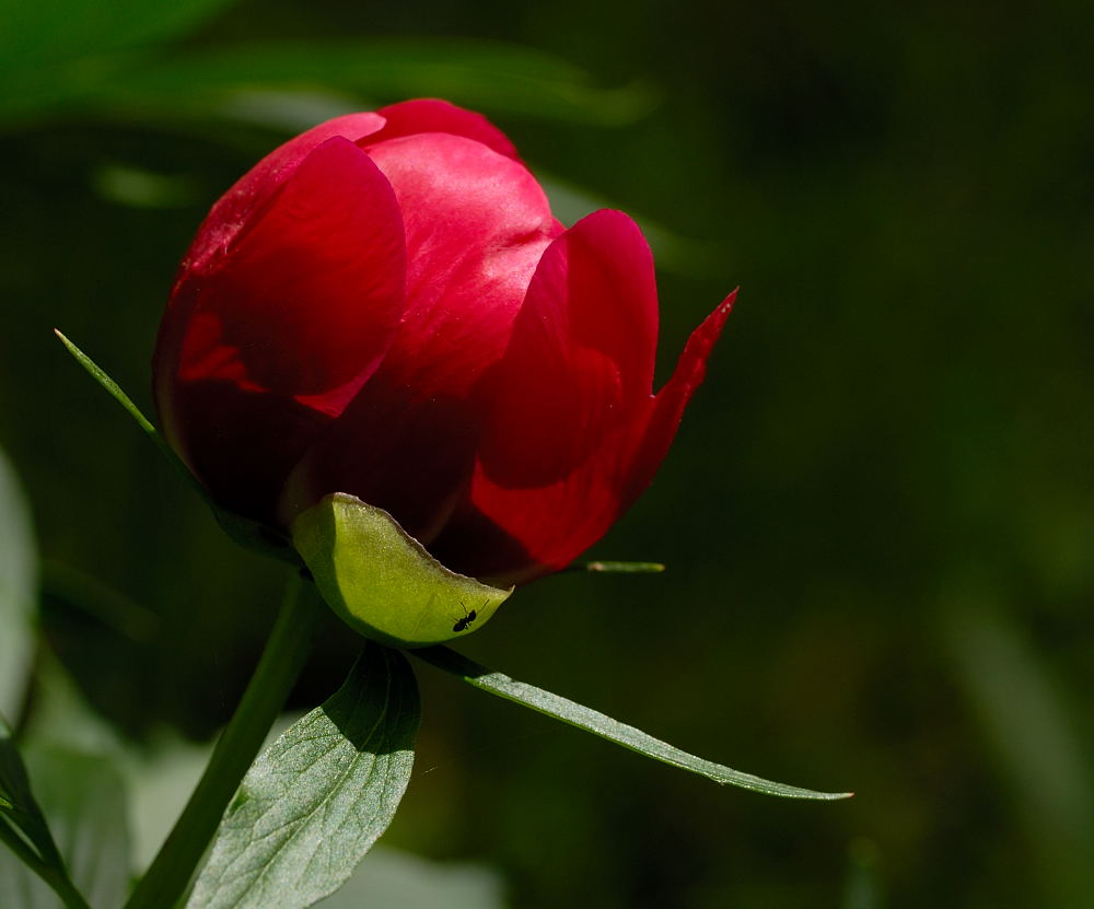 D20_3230 copy.jpg