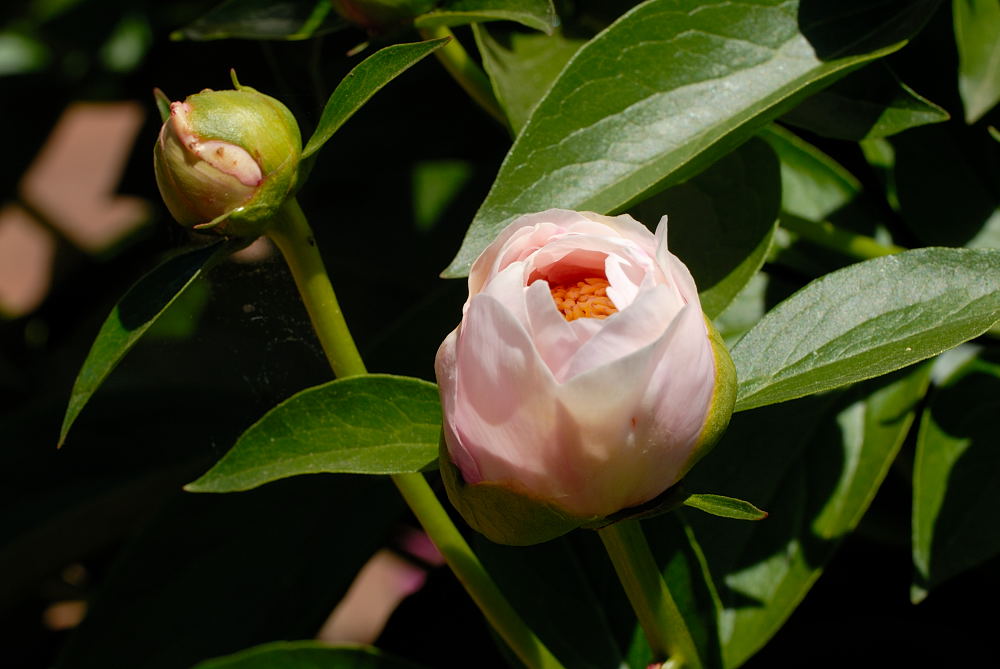D20_3697 copy.jpg