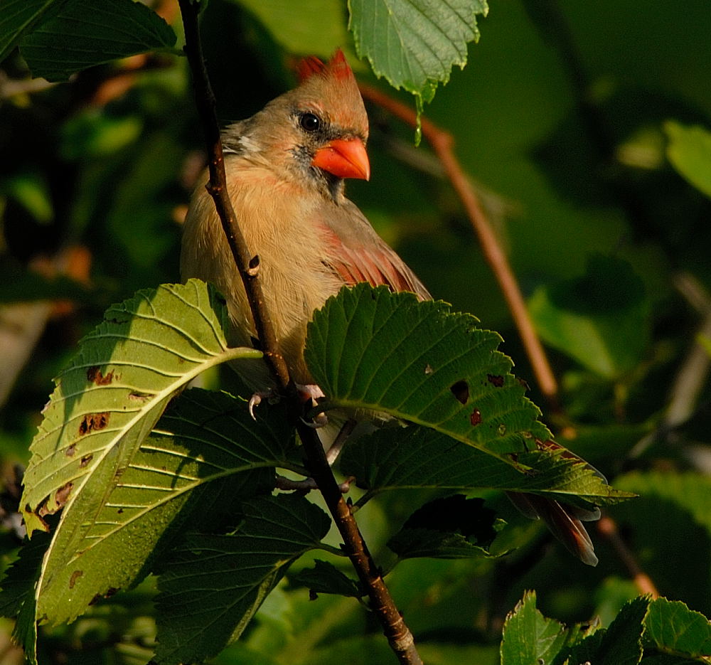 D20_2832 copy.jpg