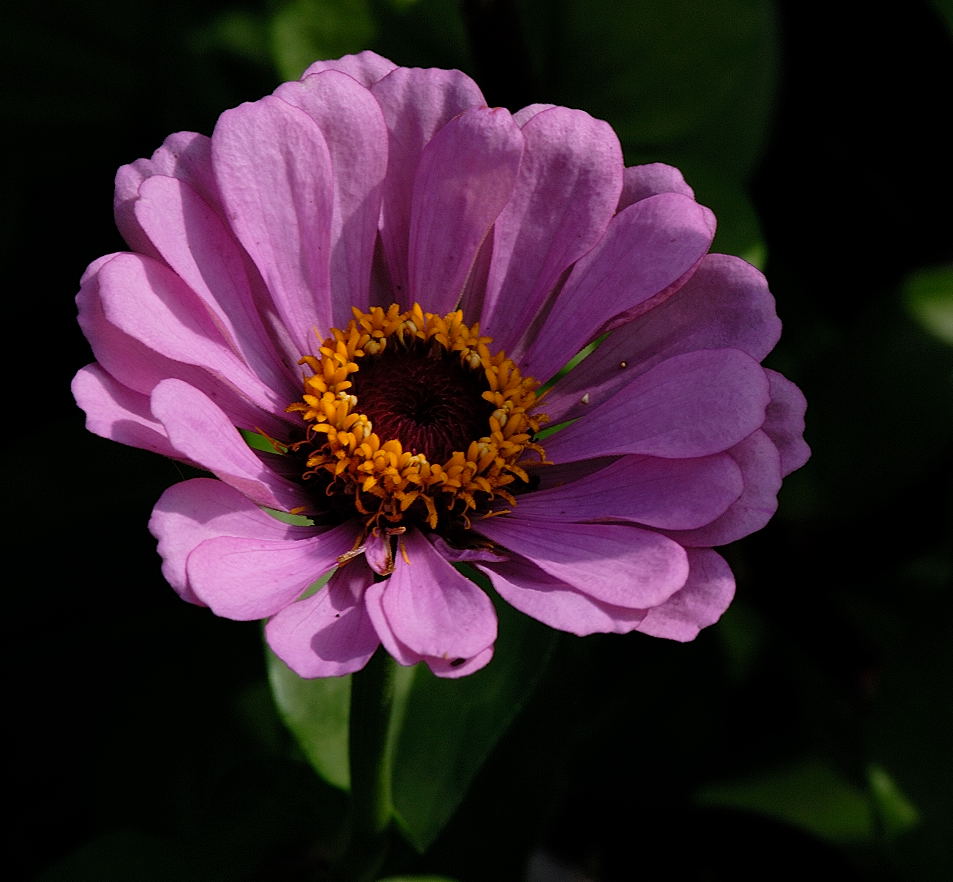 D20_3290 copy.jpg