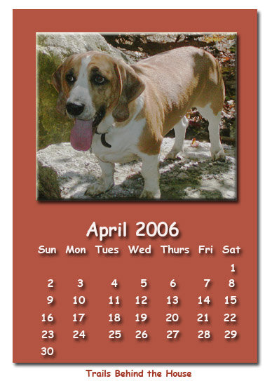 April 2006