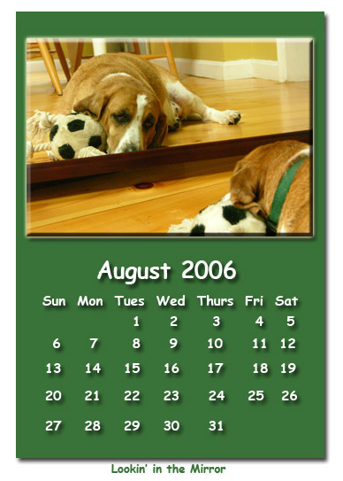 August 2006