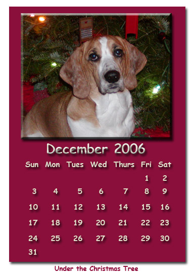 December 2006