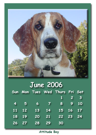June 2006