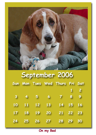 September 2006